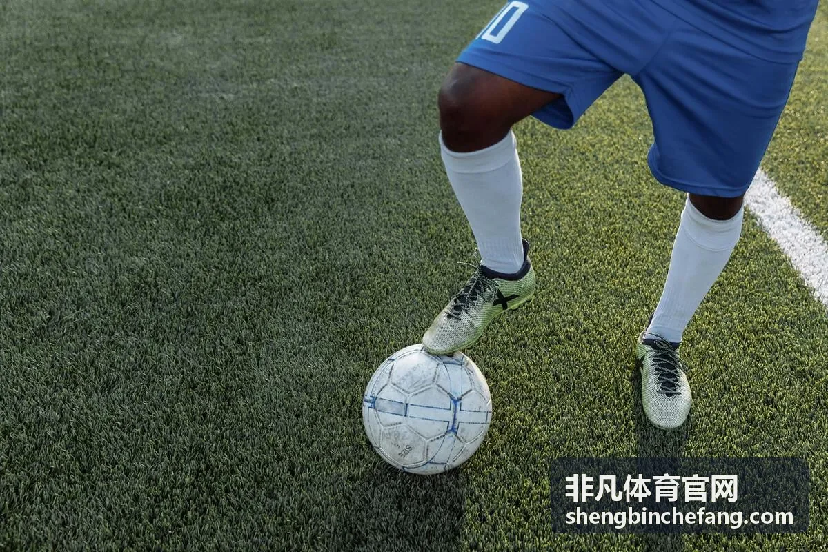 非凡体育官网企业团建合作活动现场