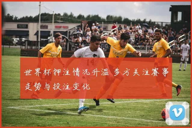 世界杯押注情况升温 多方关注赛事走势与投注变化