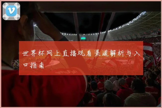 世界杯网上直播观看渠道解析与入口指南