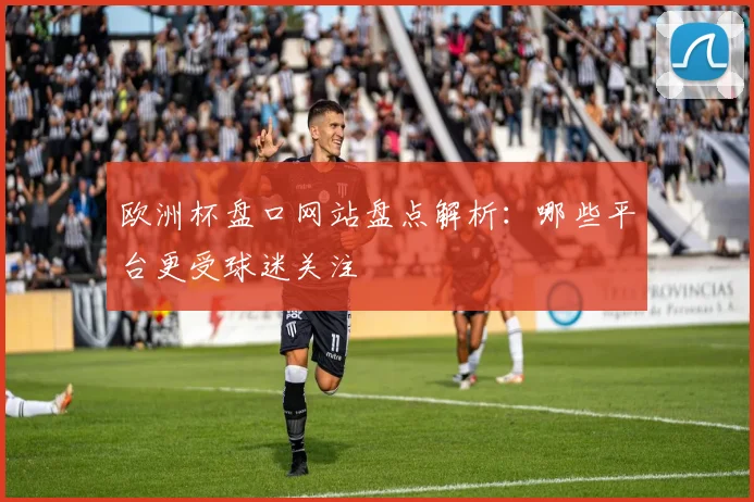 欧洲杯盘口网站盘点解析:哪些平台更受球迷关注