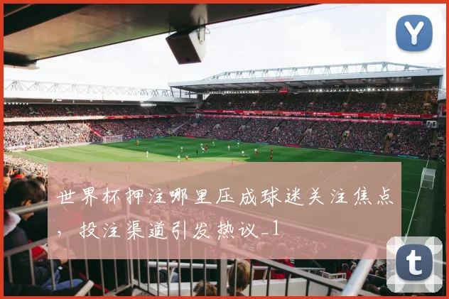 世界杯押注哪里压成球迷关注焦点,投注渠道引发热议_1