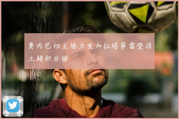 费内巴切主场力克加拉塔萨雷登顶土超积分榜