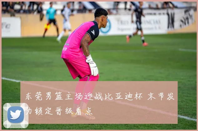 东莞男篮主场迎战比亚迪杯 末节发力锁定晋级看点