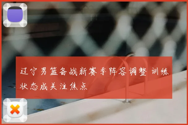 辽宁男篮备战新赛季阵容调整 训练状态成关注焦点