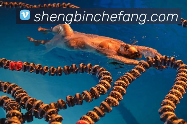 leyu乐鱼在线登录最新官网平台生态图